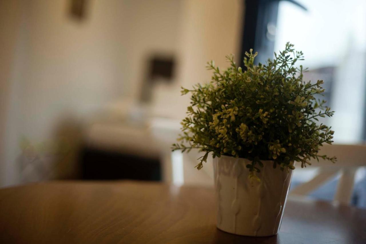 Galata Cicek Suites Κωνσταντινούπολη Εξωτερικό φωτογραφία